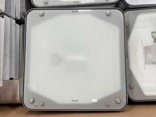 Lampe Philips Mini 300 (16x)