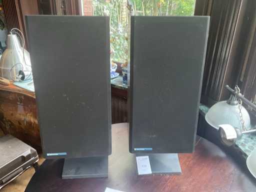 Haut-parleur Kenwood LS-800 (2x)