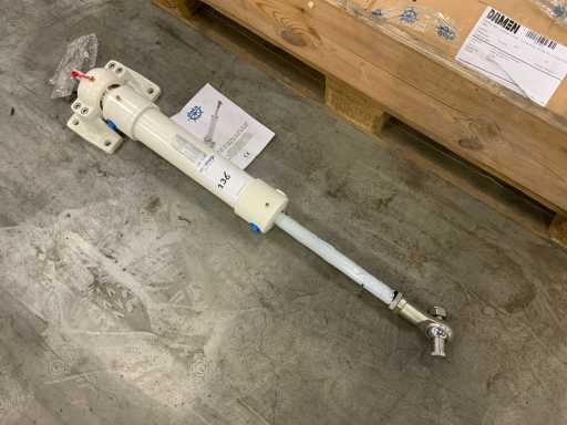 Date 2021 DS 290 SL Cilindro idraulico