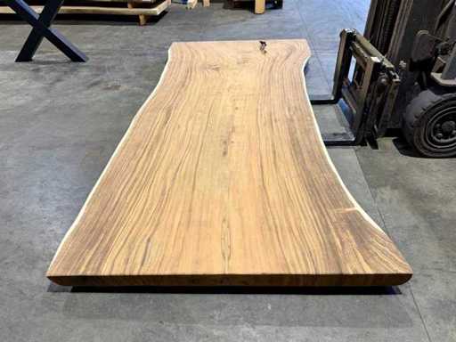 Blat pnia drzewa Suar 300 cm.