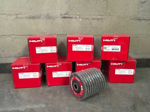 Hilti AF-D SPX Klappenscheiben (70x)