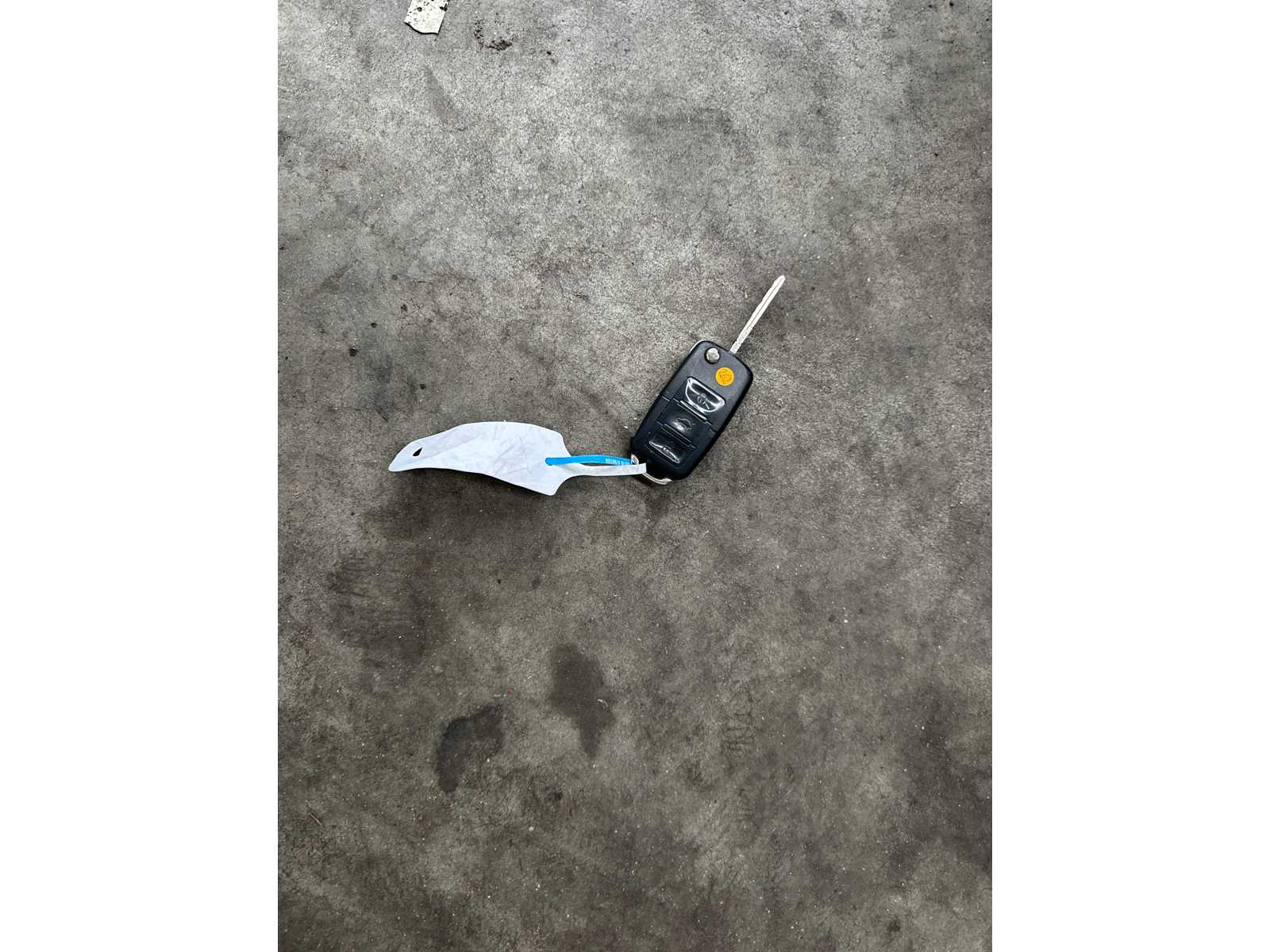 Volkswagen New Beetle Cabriolet 1.4 Turijn 75pk 2003, TH-271-J