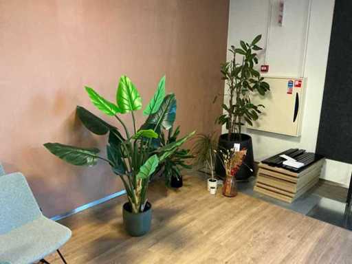 Pflanzen im Topf (4x)