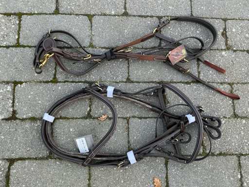 Bridle + martingale horses