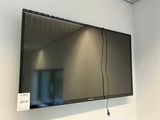 Salora Television