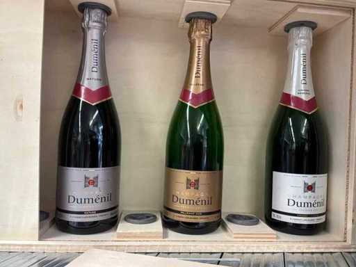Duménil Premier Cru Champagner (3x)