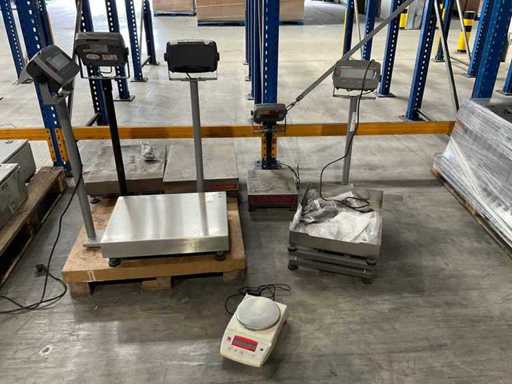 Ohaus Defender 3000 Skala (4x)