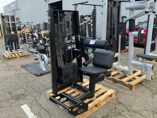 Gym 80 Signum Lower Back Multi-gym