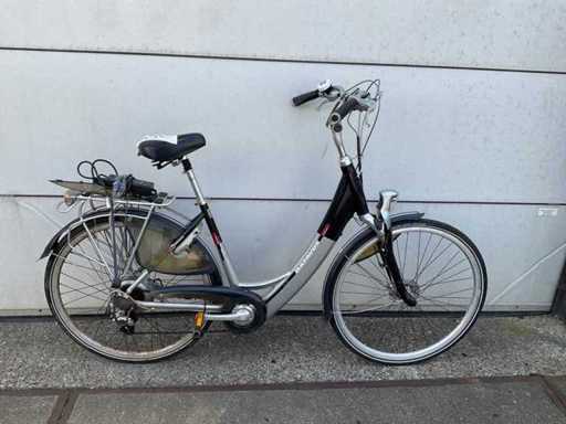 Batavus Expedition Expertenserie Elektrofahrrad