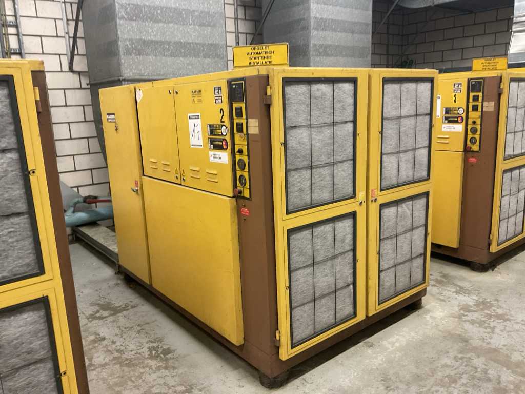 Kaeser DS200 Luftkompressor