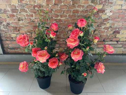 Dekoration Kunstblumen (3x)