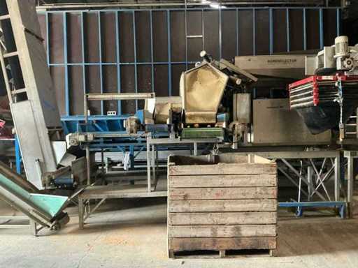 Agroselector Optische Kartoffelsortiermaschine mit Förderbändern und Stützstruktur Select W Kartoffelsortiermaschine
