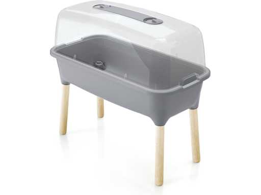 Dutchlander - Respana - Tavolo di coltivazione (15x)