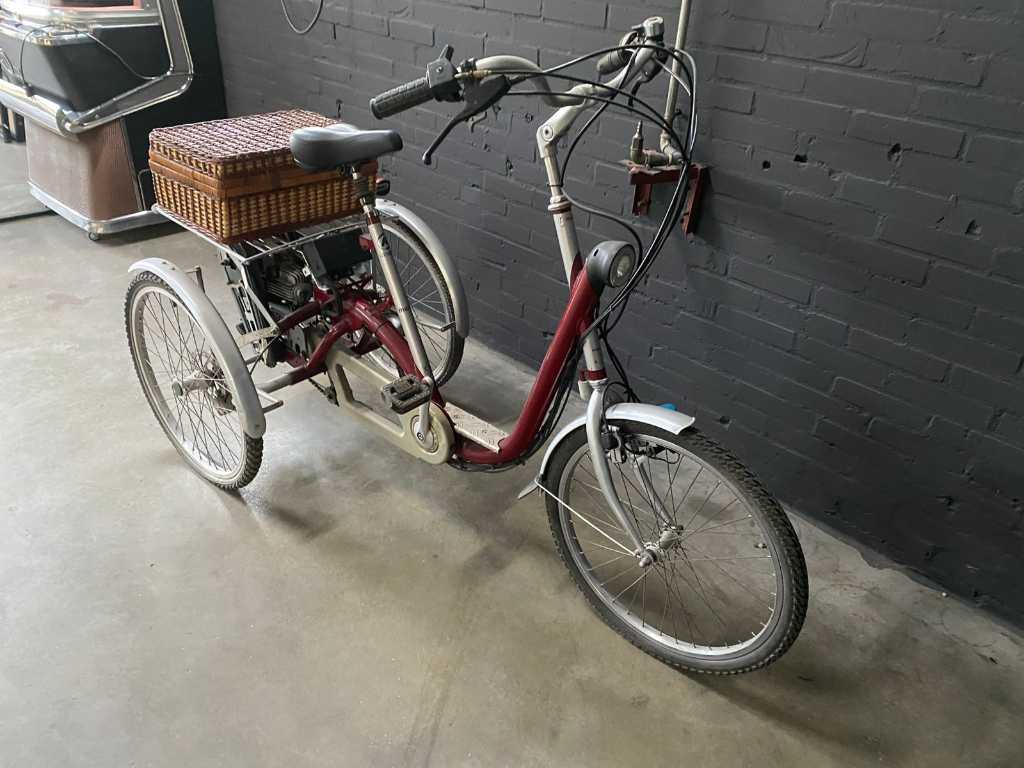 Vanraam Maxi 2 Motorisiertes 3-rädriges Fahrrad