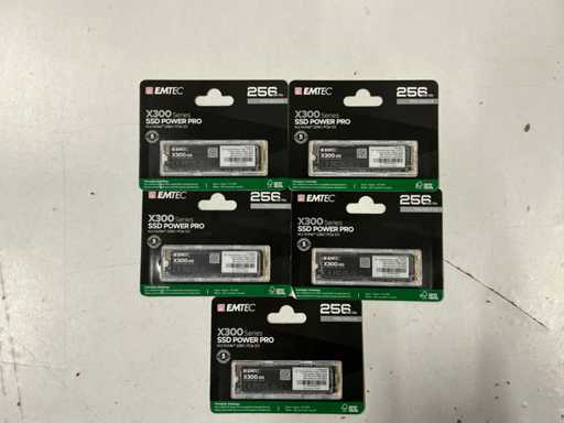 Emtec X300 Serie 256GB SSD Power Pro M.2 NVMe 2280 PCIe 3.0 (5x)