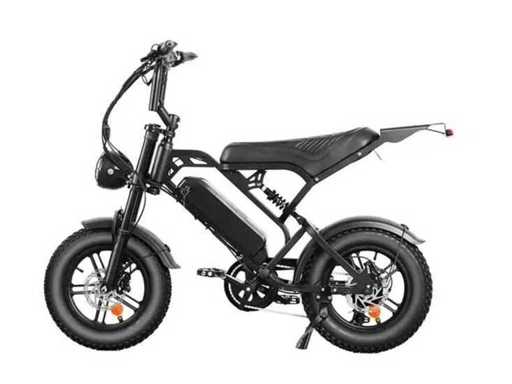 V20 mini- Fatbike - Elektrische fiets 