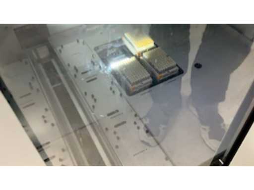 75076440-5272-4a69-9e2f-6a9d5bd8fe2c.mp4