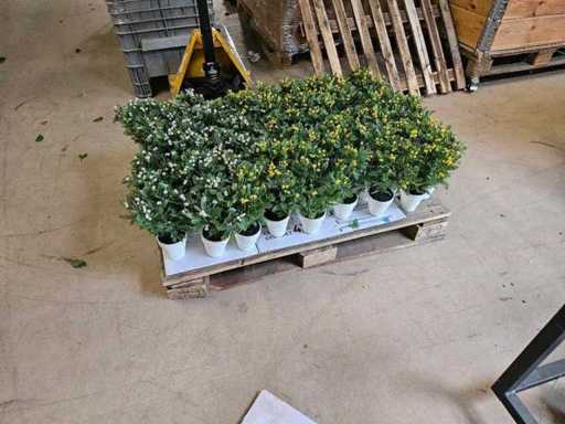 150x plante d’intérieur jaune et rose avec vert dans un pot artificiel 27 cm de hauteur
