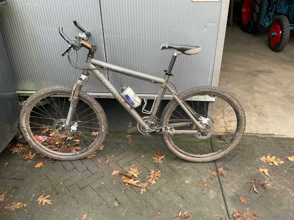 Giant Terrago Mountainbike