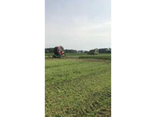 55191543-1611-4455-b368-ebd8206dd175.mp4