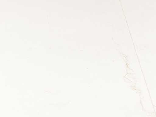 31 m2 Laminate tile - 810 x 400 x 8 mm