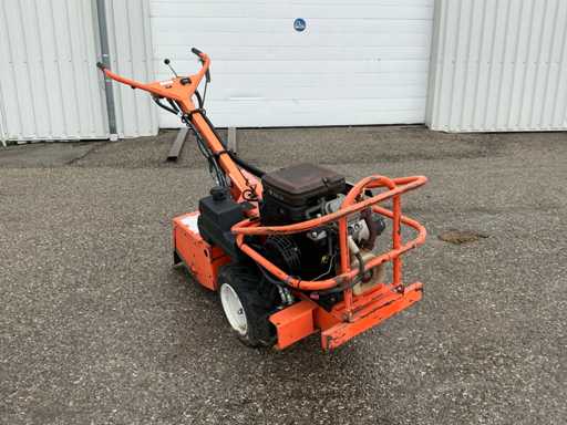 Barreto 1620 Tuinfrees