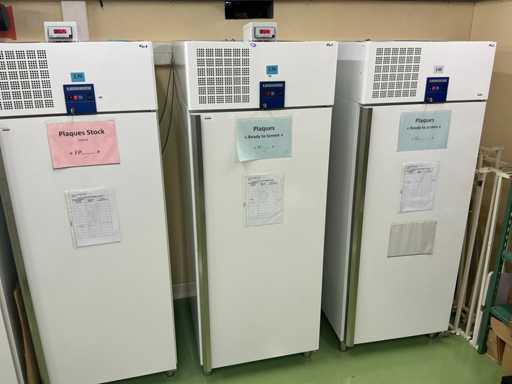 Liebherr 461353 Freezer -20