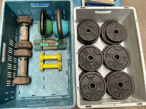 Dumbbells and weights (34x)