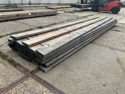 Fascicul Douglas (27x)