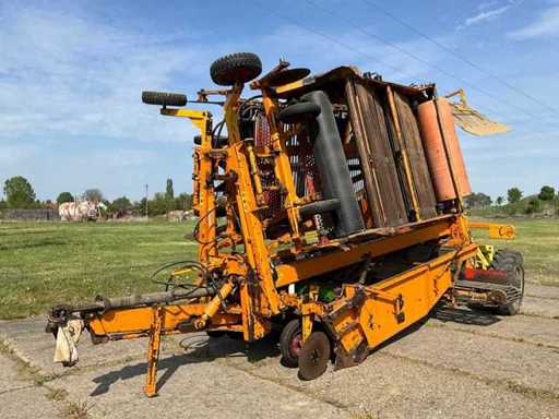 Samon SU3BEDS Onion rower 2006