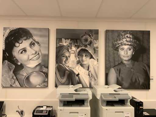 Sophia Loren Leinwand (3x)