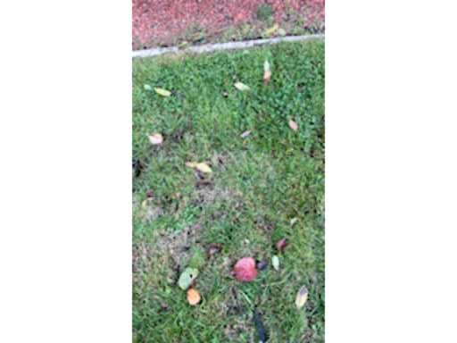 7b06efcb-e4b6-4083-803d-3f9708f1a35d.mp4