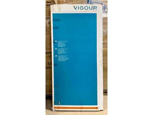 VIGOUR Doccia con porta battente 1000x1900 mm, porta doccia, vetro ESG, terrario doccia (1 pezzo)