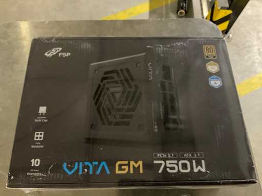 Fsp VITA GM 750W