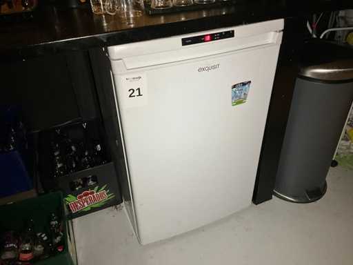 Congelator și frigider excepțional