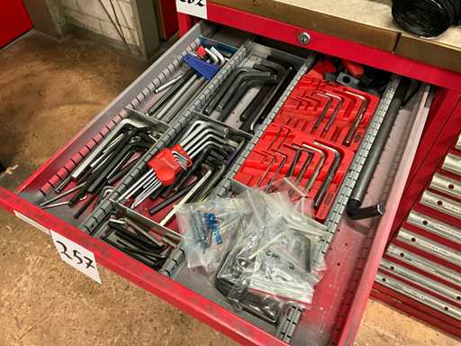 (C-1009) Allen key tools