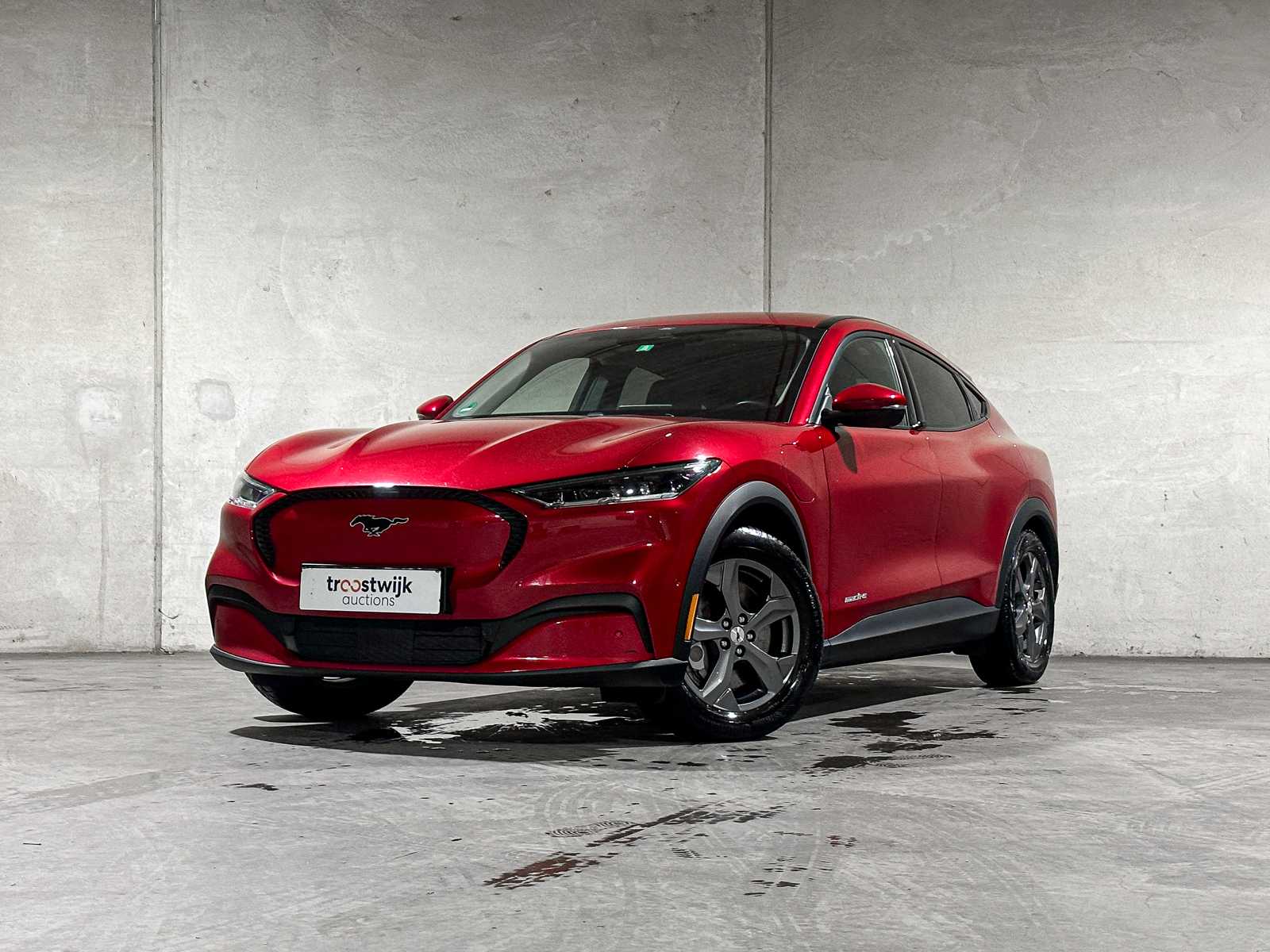 Premium daily drivers te Tiel