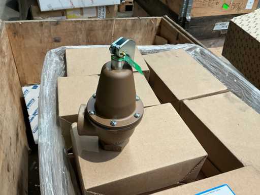 Partij watts waterdrukventielen