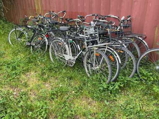 Vélo atelier (13x)