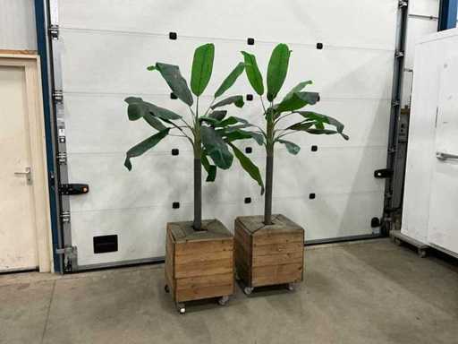 Plante artificiale în ghivece (2x)