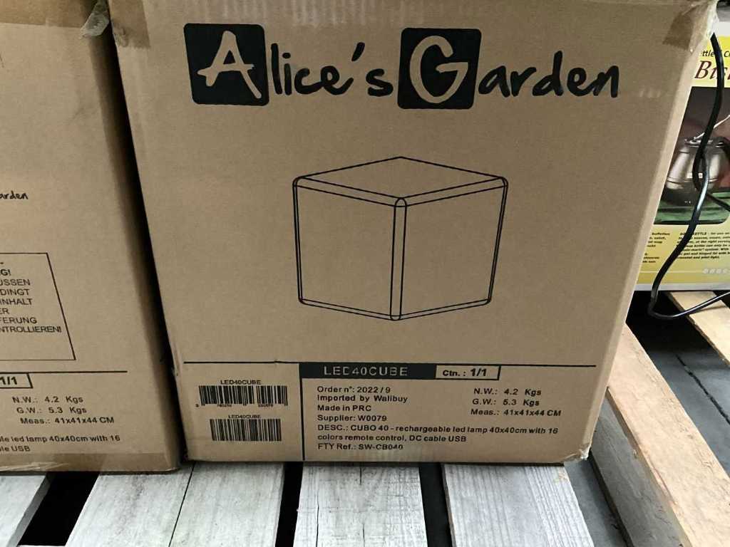 4x LEDCUBE ALICE'S GARDEN LED40CUBE