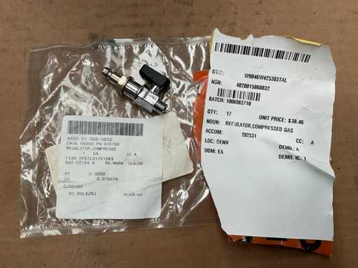 Régulateur de gaz comprimé (17x)