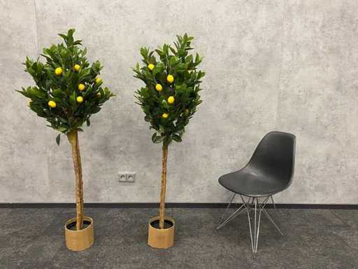 2x künstlicher Zitronenbaum – ungenutzt – H145
