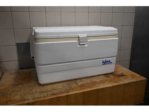 Igloo Sport 70 Thermobox