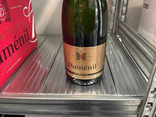 Duménil Premier Cru Millésimé Champagner (23x)
