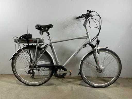 Bicicletta elettrica femminile