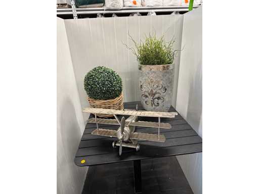 Collectible vliegtuig en planten