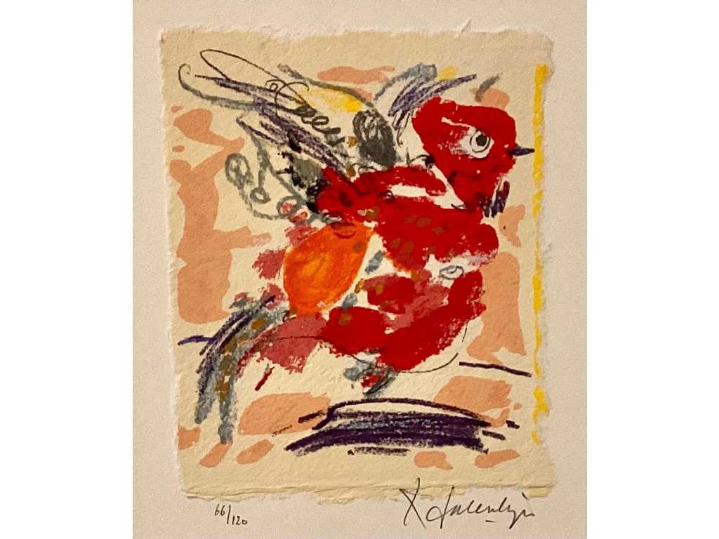 Kees Salentijn