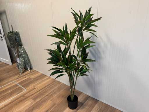 Real touch Czerwony boczny rodhea Sztuczna roślina (160 cm wysokości)