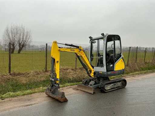 Pelle Midi Wacker Neuson ET18 2020